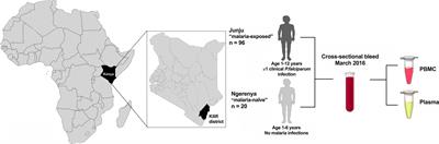 Plasmodium falciparum-Specific Memory B-Cell and Antibody Responses Are Associated With Immunity in Children Living in an Endemic Area of Kenya